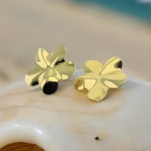 Brincos Flor Dourada 4